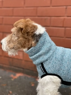 Свитер для собак на молнии попона