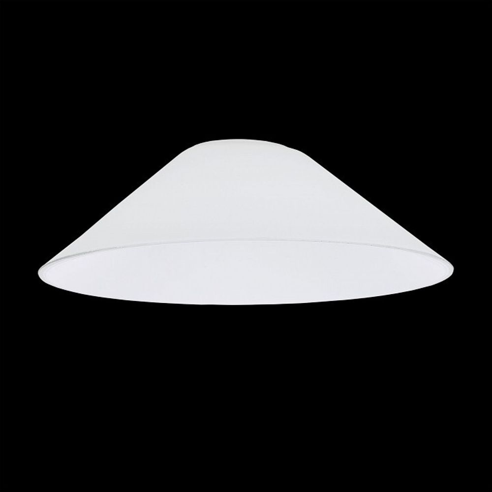 Плафон стеклянный Citilux Эдисон CL450.12