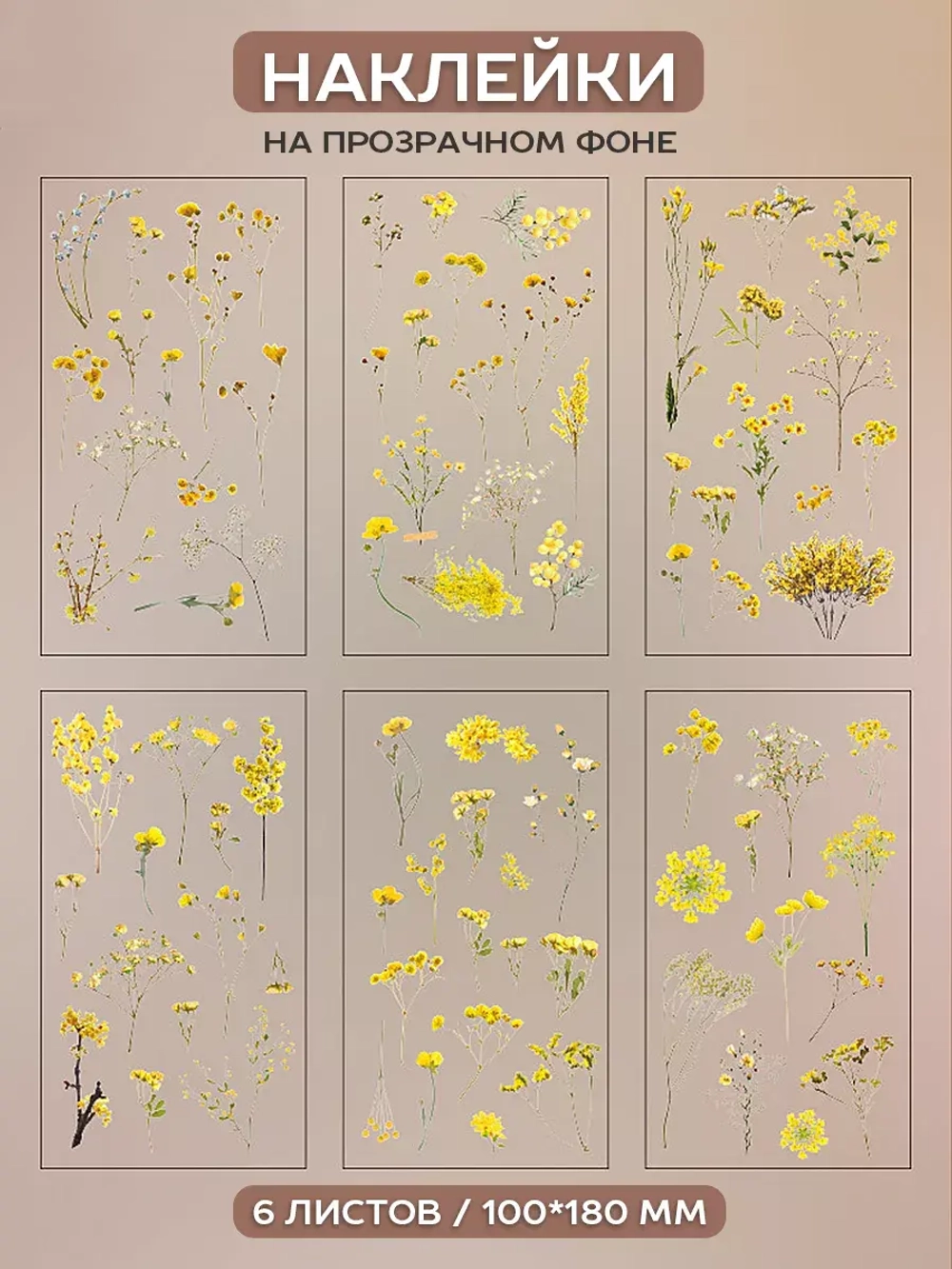 Наклейки флора на прозрачном фоне Желтые цветы