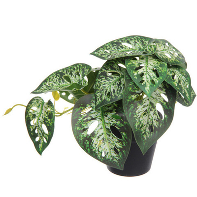 Цветок искусственный в горшке «Диффенбахия» 20*16см с прожилками