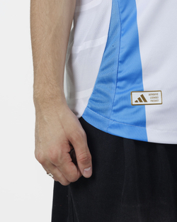 Аргентина / Домашняя / Игровая