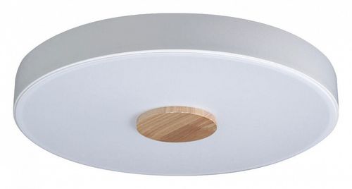 Накладной светильник Loft it 10003/24 White