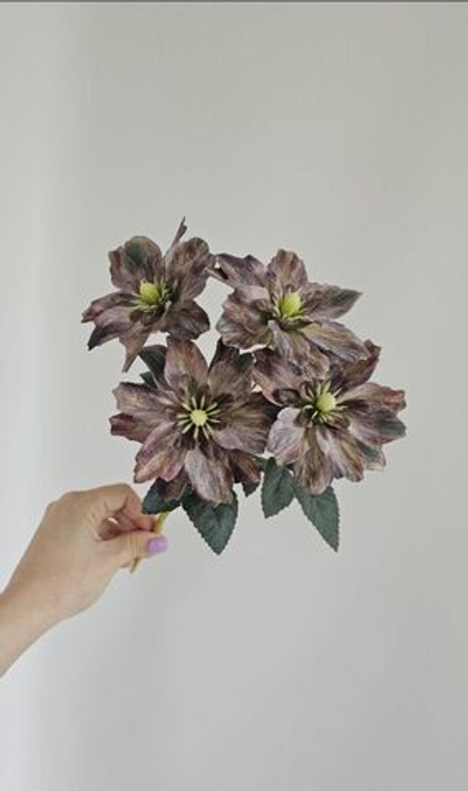 Клематис / Арт 2588