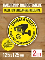 Наклейка Ведется видеонаблюдение 125х125 мм 2 шт