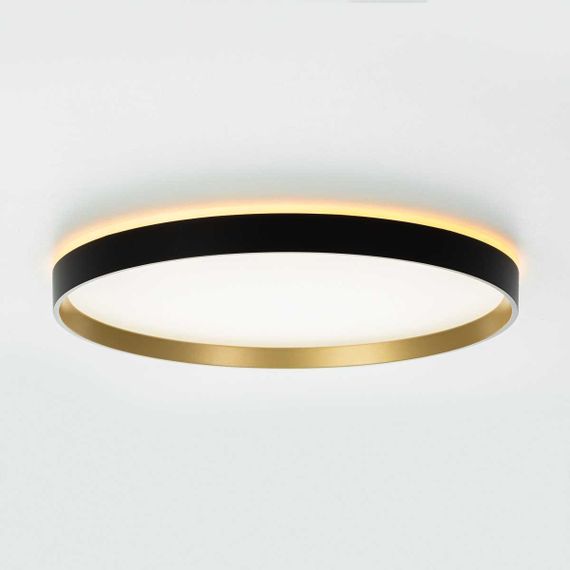 Потолочный светильник Citilux ETALON CL750401R