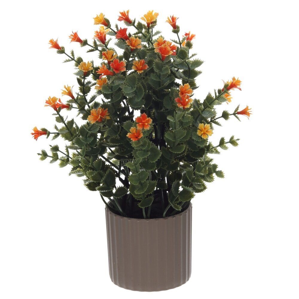 GAEM Цветочная композиция, L16 W16 H26 см