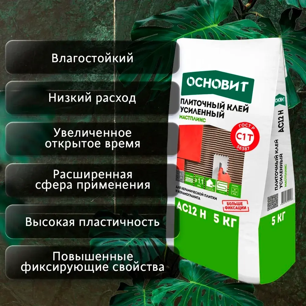 Клей для плитки Мастпликс AC12 Н (5кг)