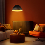 799557 Люстра FENICIA 1х12W (led) E27 ЧЕРНЫЙ/СЕРЫЙ