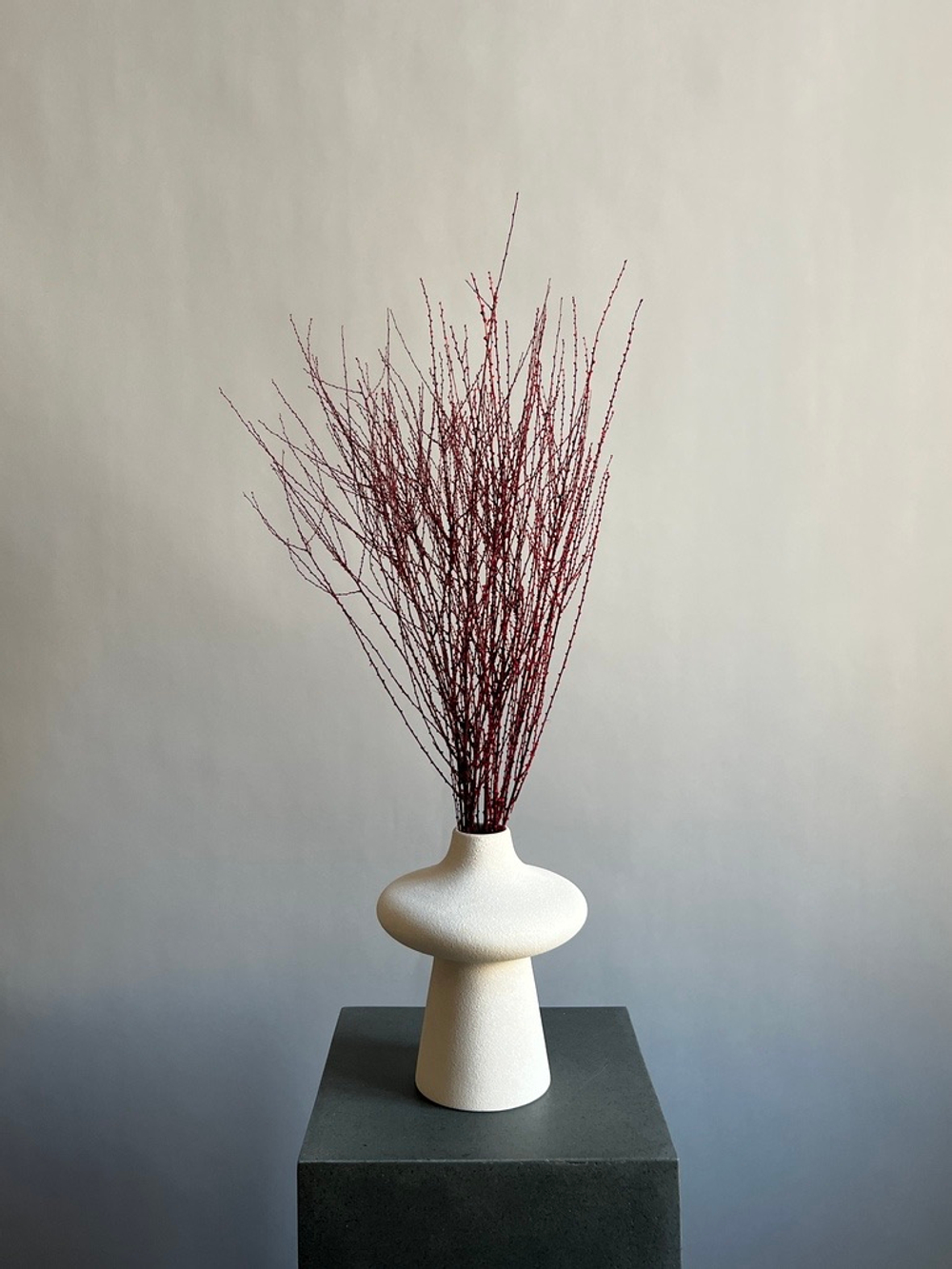 Вереск красный