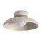 Потолочный светильник Freya Modern Movement FR5602CL-L10W