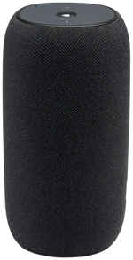 JBL Link Portable Black
