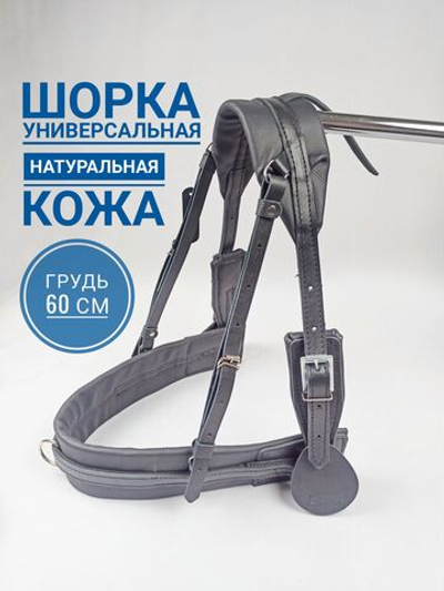 Шорка кожаная для лошади под евро-упряжь 100, черный