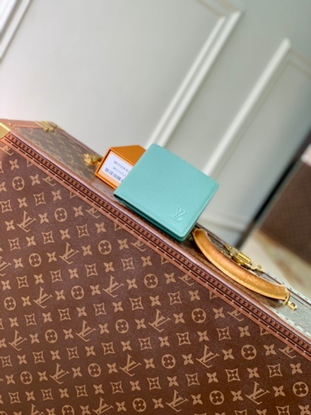 Louis Vuitton Multiple Wallet