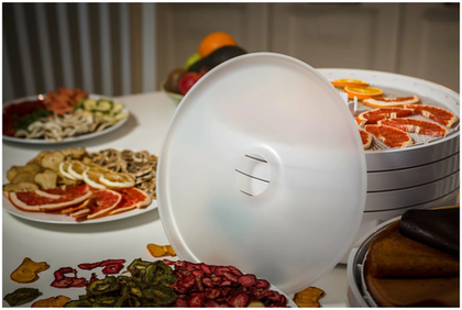 Сушилка овощей, фруктов "ВОЛТЕРА-1000" (15 кг/за сушку)
