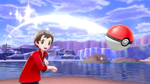 Игра Pokemon Sword (Английская версия) для Nintendo Switch