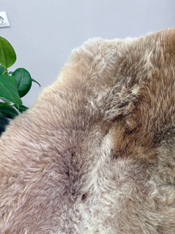 Шкура коврик меховой прикроватный овчина, 120х65 см.