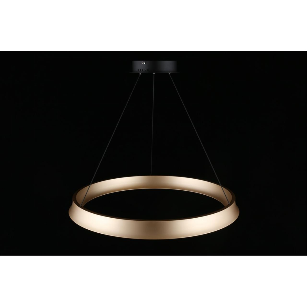 Подвесная светодиодная люстра Aployt Justyna APL.787.03.50