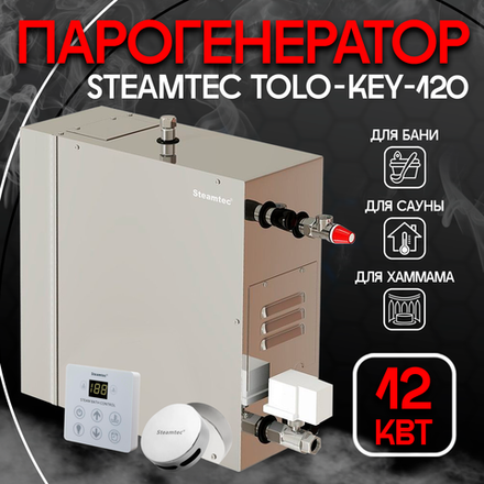 Steamtec TOLO KEY 120 - 12 кВт (стандартный модуль управления), парогенератор для хамама и турецкой бани