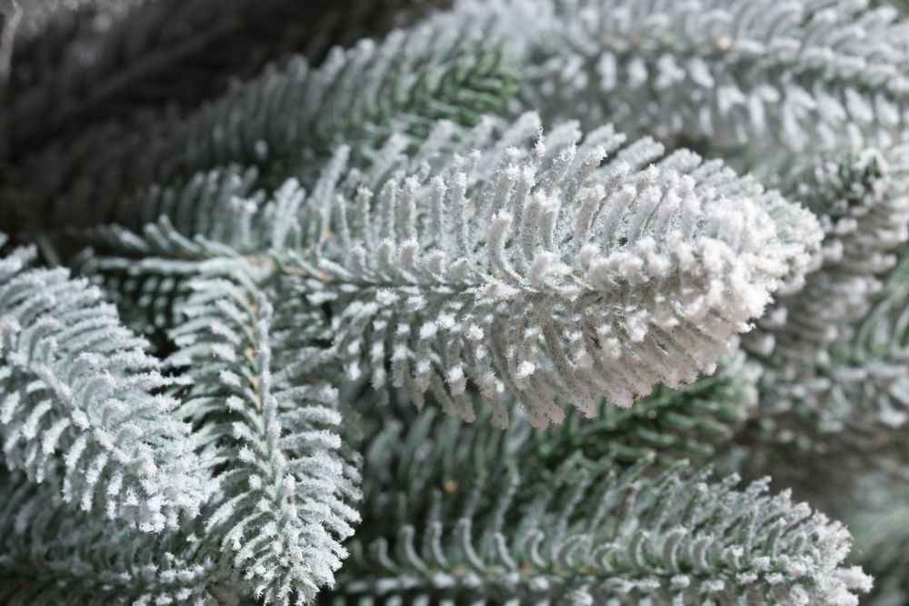 Заснеженная елка на ножке «Тайя» (Литая хвоя) 150 см / 1,5 м