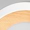 Потолочный светильник Loft IT Folk 10255/350 White
