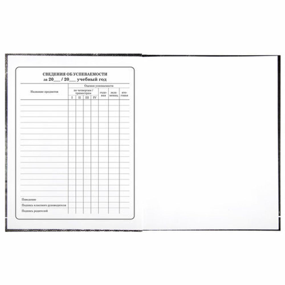 Дневник 1-4 класс 48 л., твердый, BRAUBERG, выборочный лак, с подсказом, "Крутой байк", 106362