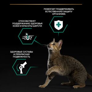 Пауч Pro Plan Maintenance для взрослых кошек, с курицей в соусе