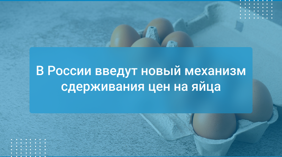 В России введут новый механизм сдерживания цен на яйца
