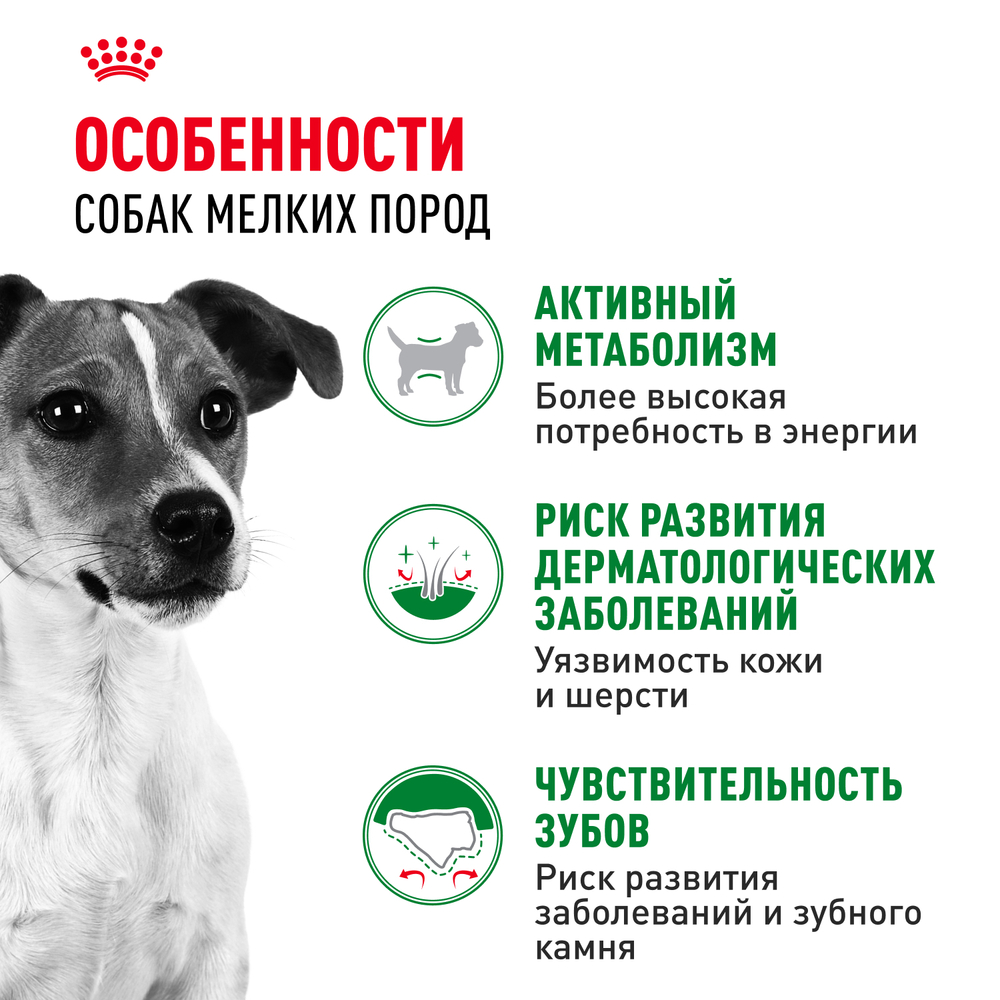 Royal Canin Mini Adult Корм сухой для взрослых собак мелких размеров от 10 месяцев 8 кг