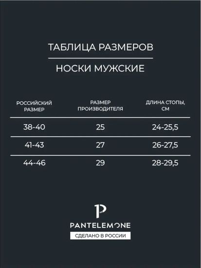 Носки мужские Pantelemone PN-100 ,синие