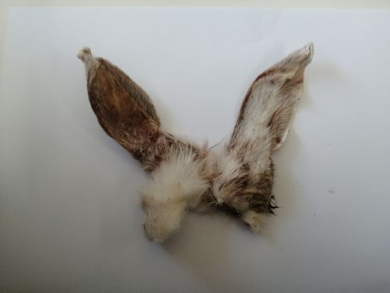 Myp&Co Лакомства для собак и кошек Уши Кролика