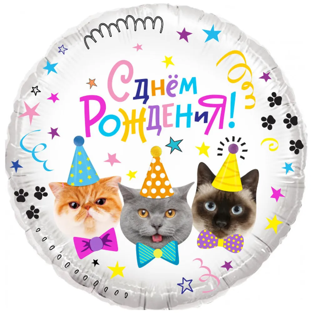 КОТ Круг 18'' / 46 см С Днем Рождения! (Котики) (БГ-15)  Изображение2