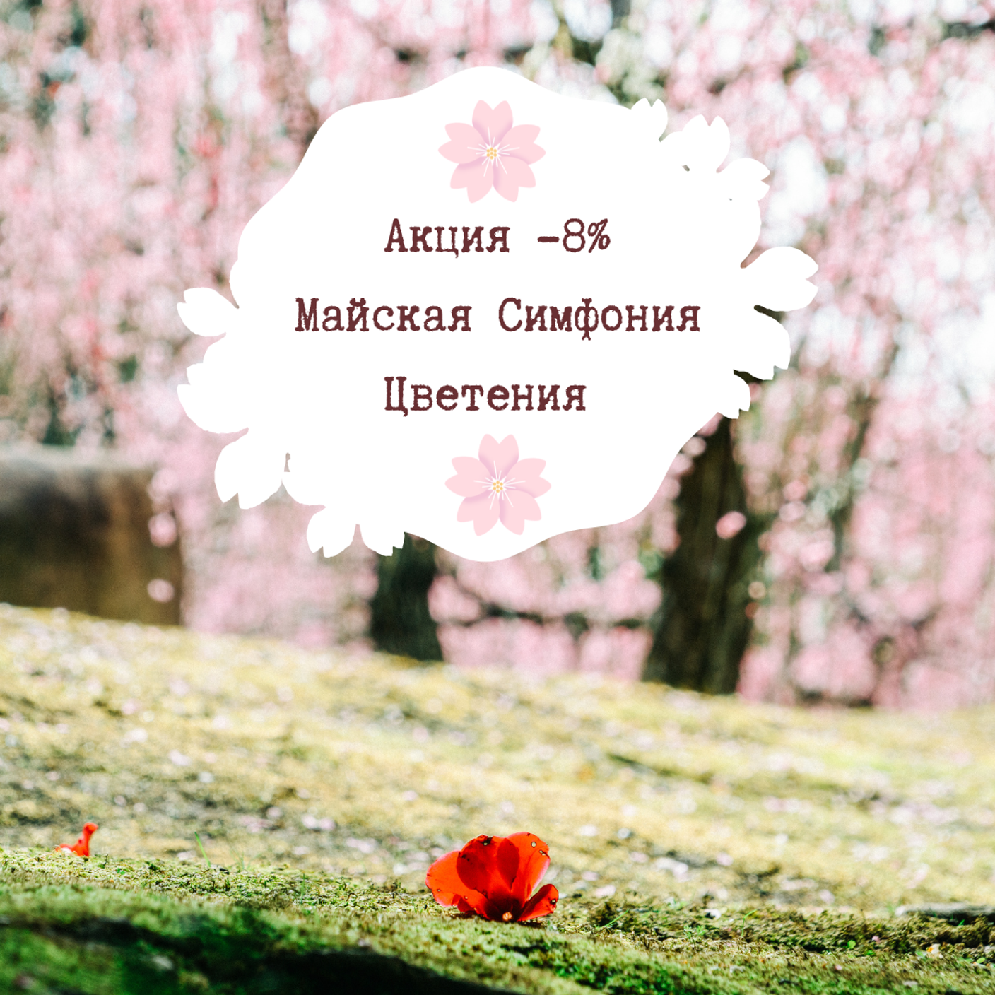 Майская Симфония Цветения: Когда Дерево Расцветает! (1–31 мая 2026)