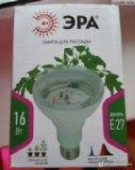 Фитолампа для растений светодиодная ЭРА FITO-16W-RB-E27-K красно-синего спектра 16 Вт