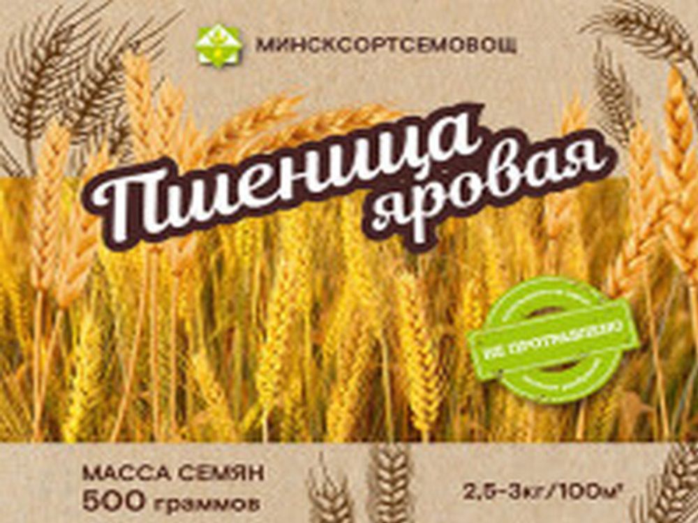 Пшеница яровая &quot;Сударыня&quot; 0,5кг, Беларусь.