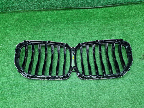 Решетка радиатора BMW X5 G05 (2018-2023)