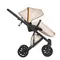 Коляска ANEX e/type 2 в 1 (et-SE04) joy