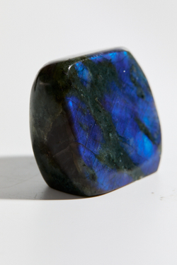 Срез Лабрадора S