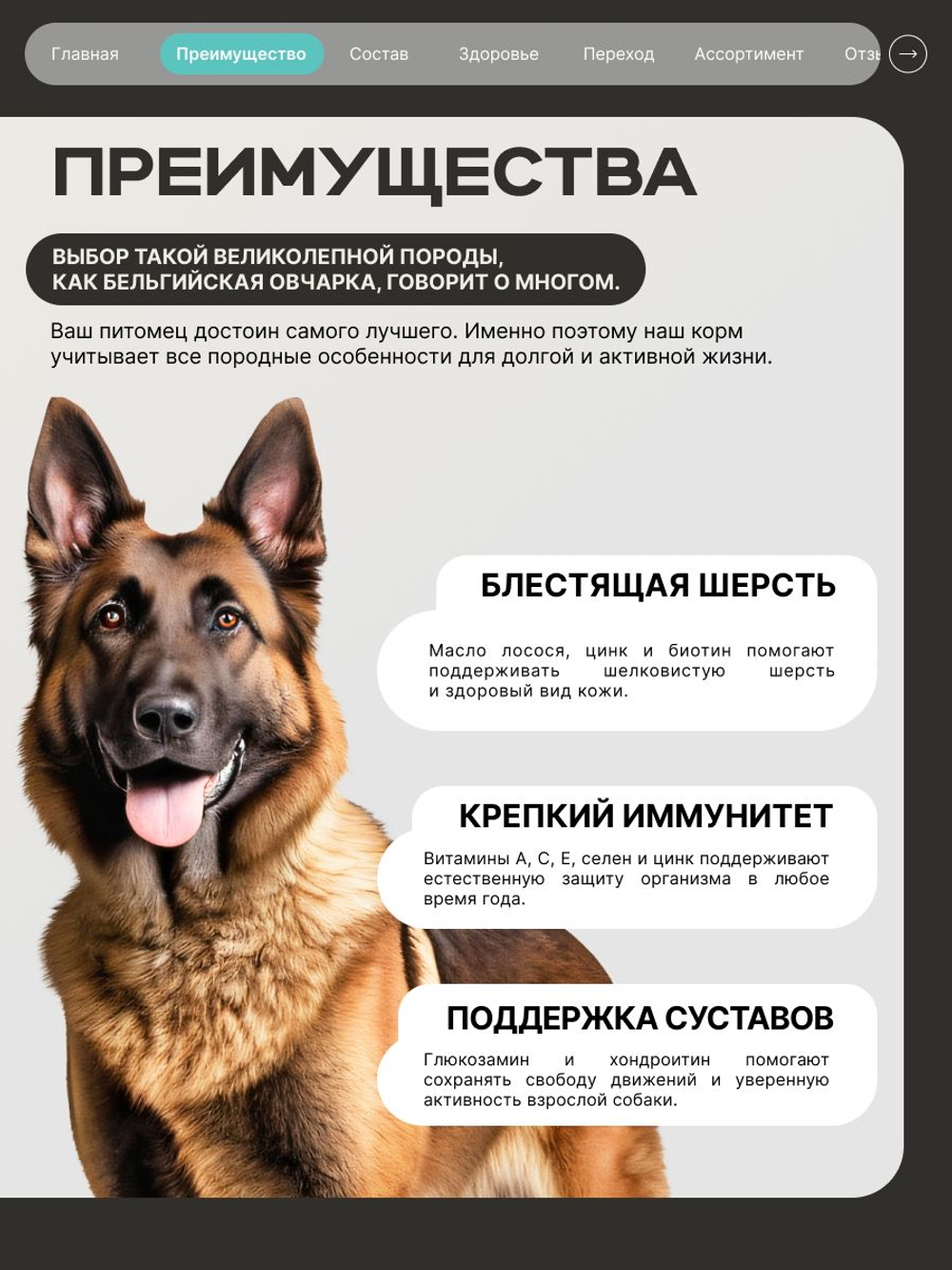 Корм для взрослых собак породы Бельгийская овчарка (Малинуа), с кроликом, 12 кг, QUATTRO