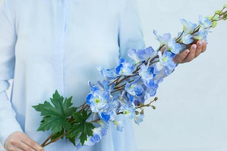 Дельфиниум с 2 ветками - Синий