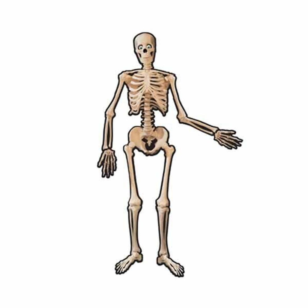 Баннер Скелет подвижный 1,4м/А