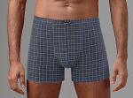 Клетчатые мужские боксеры (Размер: XL) (Цвет: черный)