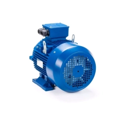 Электродвигатель ESQ 400 L4-SDN- 600/1500 IMB3