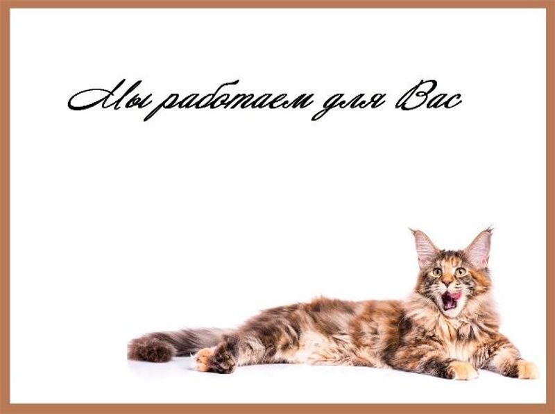 Баннер на главной 2