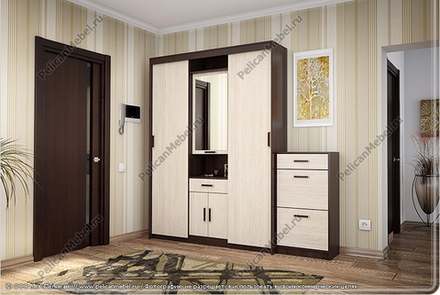 Шкаф в прихожую Мелисса-К