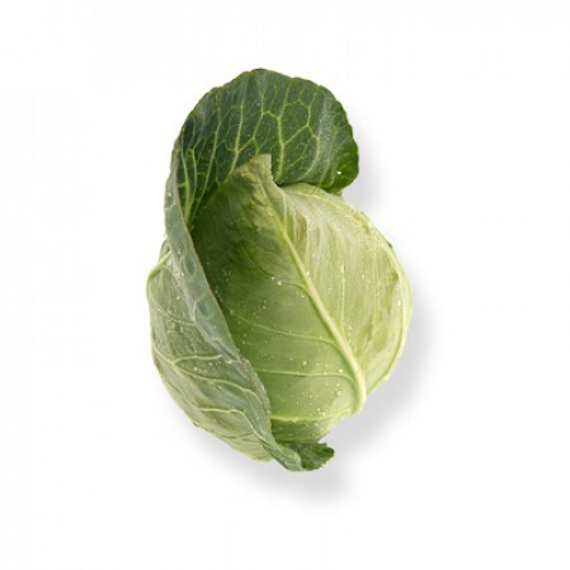 Сонсма F1 семена капусты белокочанной (Rijk Zwaan/ALEXAGRO) культура – фото 7