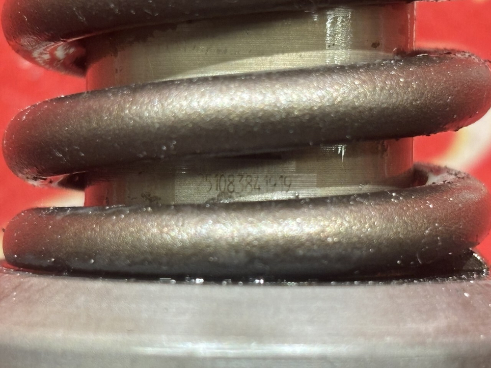 PLD секция 2019г.