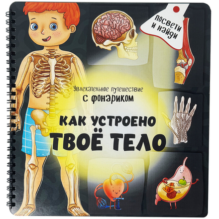 Книжка с фонариком "Как устроено твое тело"