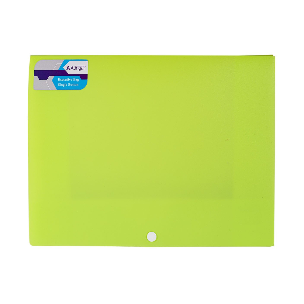 Папка на кнопке Alingar, A4, 240х320х10, 500 мкм, карман для визитки, ассорти, матовая, "Ice"