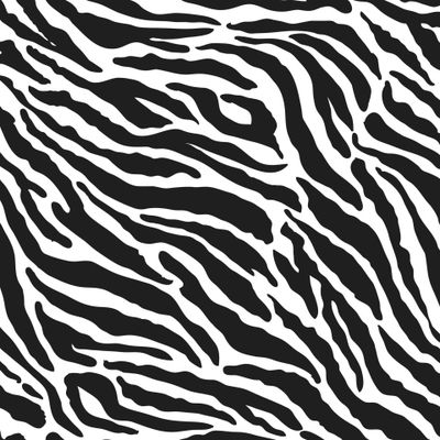 Черно-белый тигровый (зебра) принт