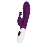 Фиолетовый вибратор-кролик 19,8см со стимулятором клитора Pretty Love Rasmussen Bunny Vibrator BW-500072-A2